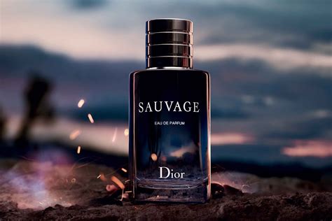 dior sacuage